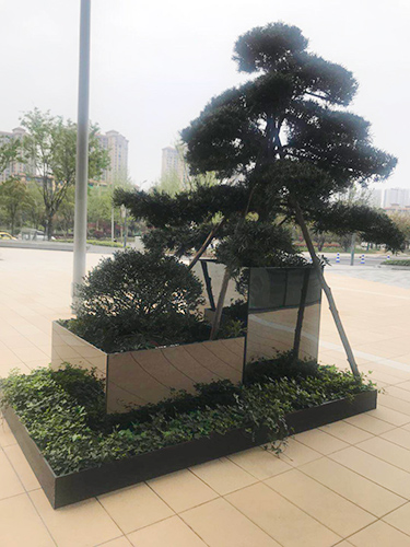 户外高档组景