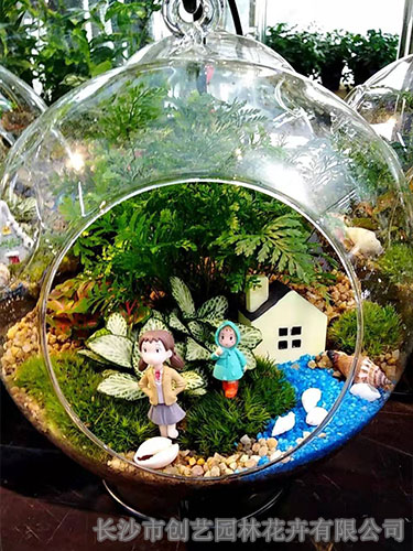 小植物