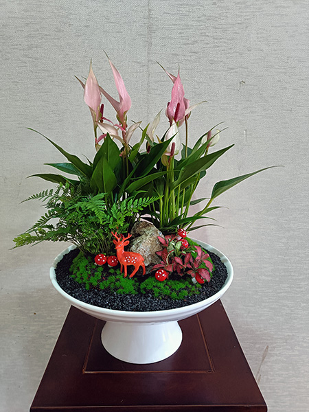 组合盆花