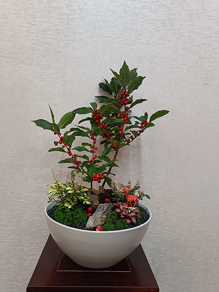 组合盆花