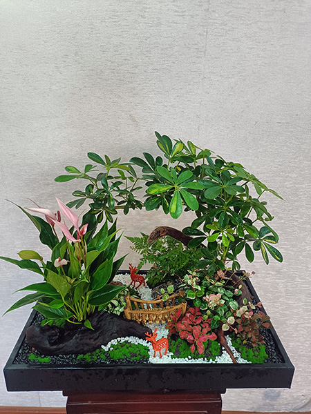 组合盆花