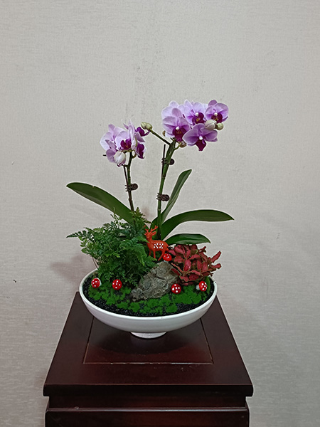 组合盆花