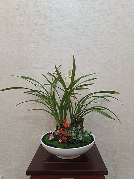 组合盆花