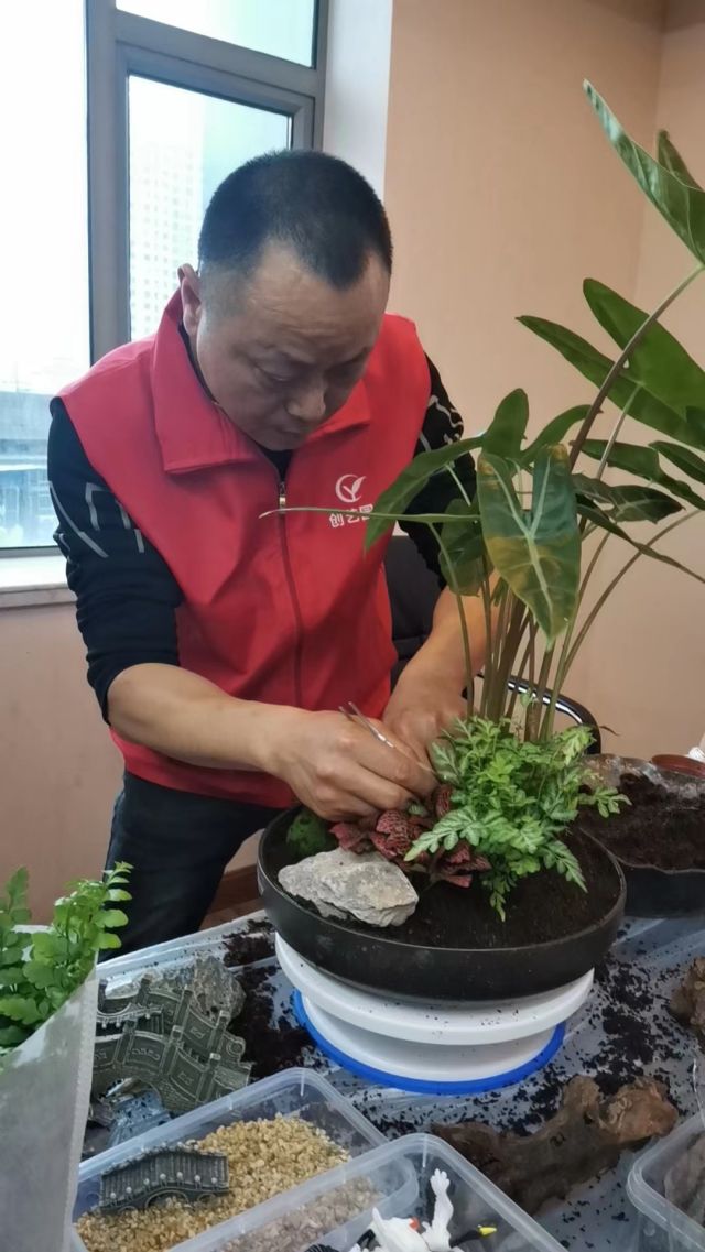 个性花卉产品租赁_个性花卉产品批发零售_高端组景组盆花卉专业租货_长沙市创艺园林花卉有限公司