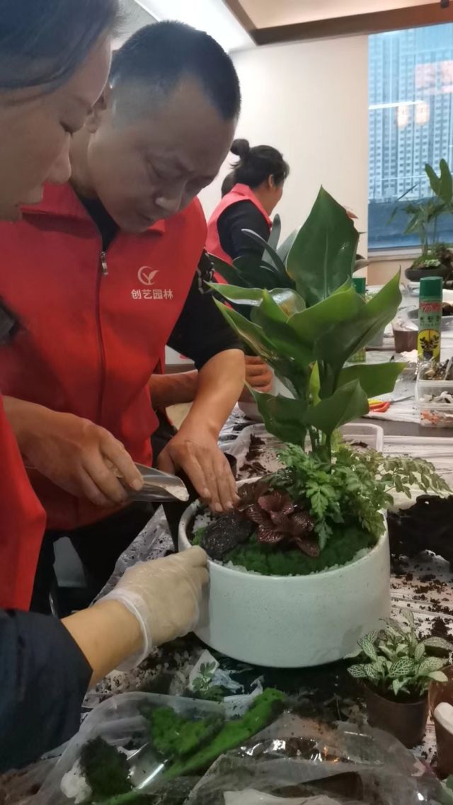 个性花卉产品租赁_个性花卉产品批发零售_高端组景组盆花卉专业租货_长沙市创艺园林花卉有限公司
