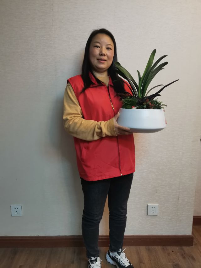 个性花卉产品租赁_个性花卉产品批发零售_高端组景组盆花卉专业租货_长沙市创艺园林花卉有限公司